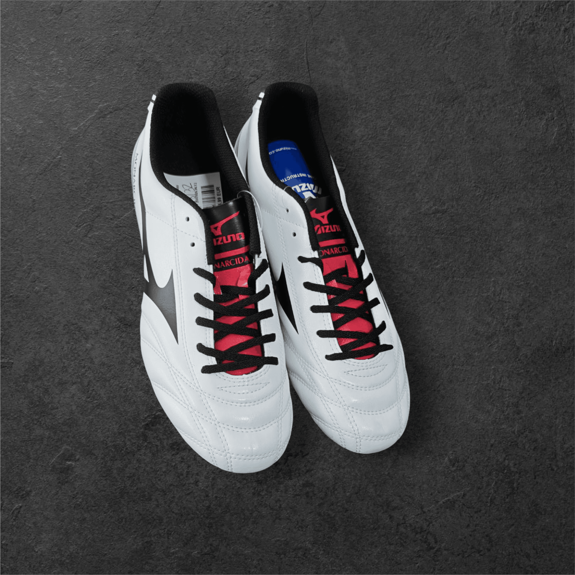 Mizuno Monarcida